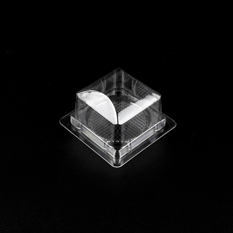 H489 (4)